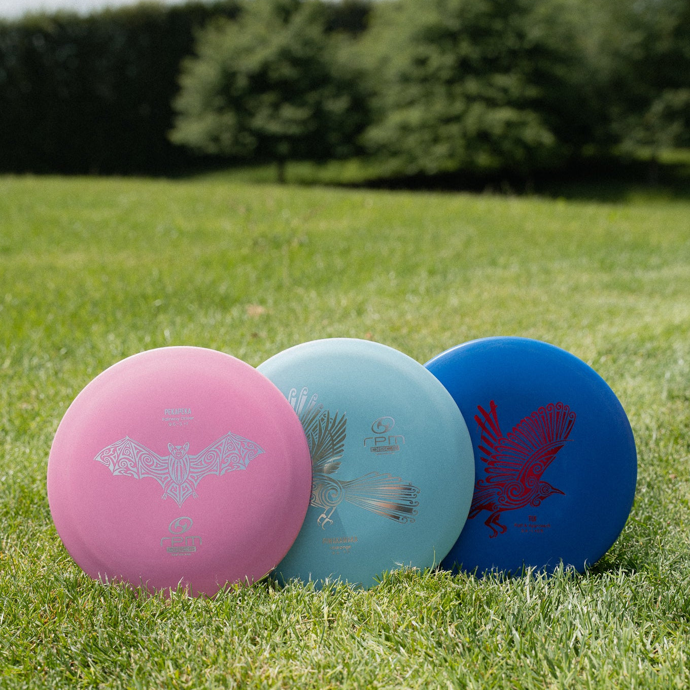 Starter Set - Just Hatched